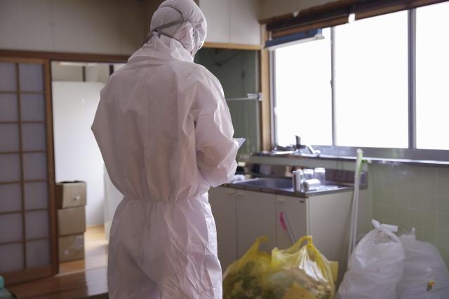 仙台市での害虫駆除・オゾン脱臭のご相談